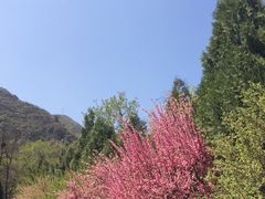 -北京鹫峰国家森林公园