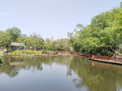 -扬州市茱萸湾风景区