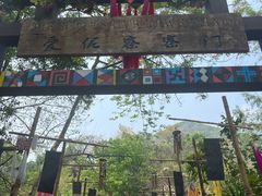 -西双版纳原始森林公园