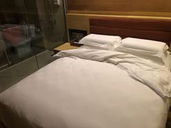 -深圳楚天大酒店(福田口岸深圳会展中心店)