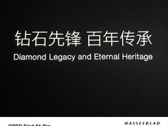 -凤凰中心