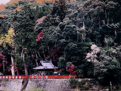 -岚山嵯峨野观光小火车