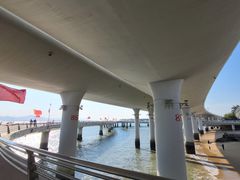 -演武大桥观景平台