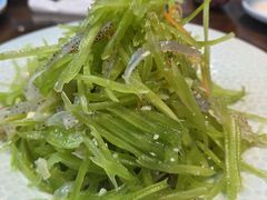 海蜇莴笋-东北大院·东北菜(三台子店)