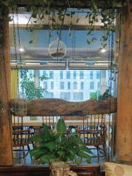 -青青一生美皮肤管理