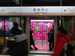 -奥体中心(地铁站)