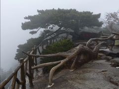 -罗田薄刀峰风景区