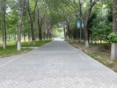 -大兴滨河森林公园