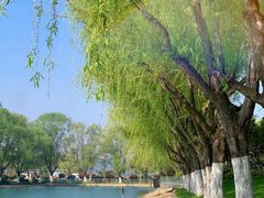 -天鹅湖体育公园