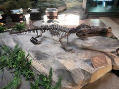 -自贡恐龙博物馆
