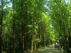 -同里国家湿地公园