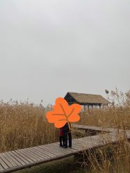 点击看大图 -北遇映画PHOTO GRAPHY STUDIO