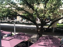 -甘家界牌柠檬鸭(青山店)