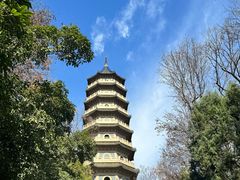 -灵谷景区