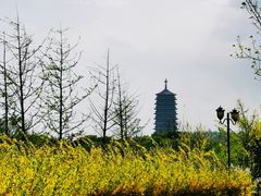 -永定河休闲森林公园