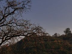 -云丘山景区