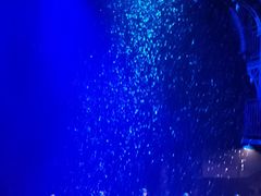 -《12·12》西安事变大型实景演出