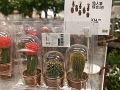 -IKEA宜家家居(南京商场)