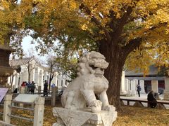 -北京石刻艺术博物馆(五塔寺)