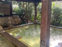 -天目湖涵田半山温泉