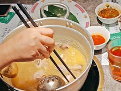 -禄婶鸡煲·打边炉