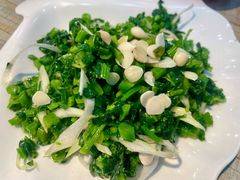 养生山野菜-老舅老蒙肉饼非遗店(一店)