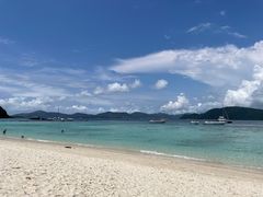 -珊瑚岛