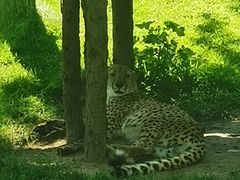 -北京野生动物园