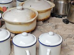-小小饭店·休闲农庄·安吉松树林里的农家菜