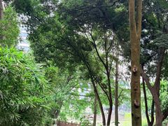 -成都市活水公园