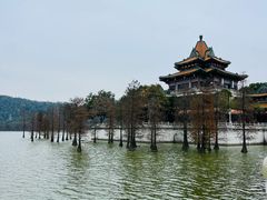 -顺峰山公园