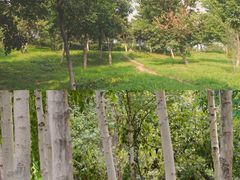 -莫子山公园