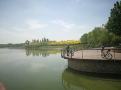 -东郊湿地公园
