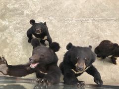 -西安秦岭野生动物园