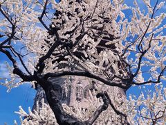 -玲珑塔公园