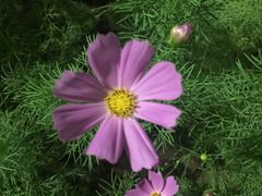 -回龙观体育文化公园