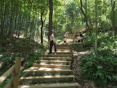 -天目湖山水园