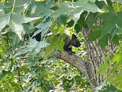 -北京西山国家森林公园