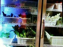 -大众跷脚牛肉馆·非遗传承单位(峨眉山店)