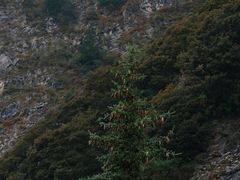 -叠溪松坪沟景区