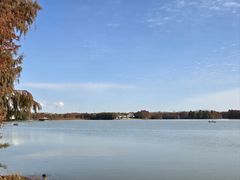 -上海海湾国家森林公园