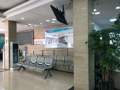 -上海大学附属上海和平眼科医院