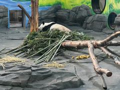 -秦皇岛野生动物园
