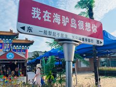 -海驴岛(荣成市)