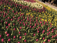 -长春公园(普阳街道)