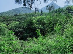 -阳台山自然风景区