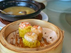 -春满园·早茶·粤菜·宴会(前海店)