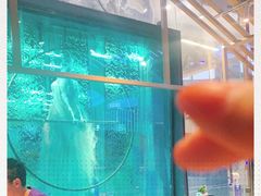 -雀舞云南菜(乐客城店)