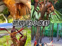 -上海山野camping·户外天幕烧烤·团建拓展营地