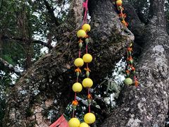 -腾冲云峰山